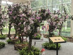 -上海鲜花港