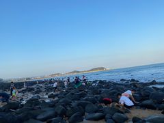 -漳州滨海火山岛自然生态风景区