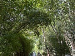 -金银湖国家城市湿地公园