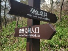 -苏州上方山国家森林公园