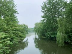 -溱湖国家湿地公园