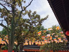 -龙华寺