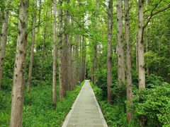 -同里国家湿地公园
