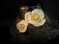 android_upload_pic-上海琉璃艺术博物馆