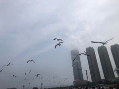 -星海广场