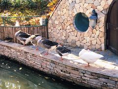 -南宫五洲植物乐园