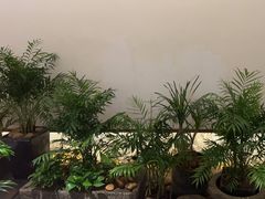 -瑶王府·广西菜(金阳路店)