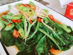 白灼菜心-高晓山馅饼店(牛庄百年店)