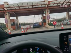 -迪士尼乐园停车场