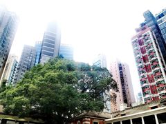 -大馆(前中区警署建築群)