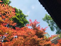 -成都杜甫草堂博物馆