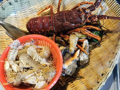 -日进一片海.生腌海鲜火锅.宵夜烧烤(三里屯总店)