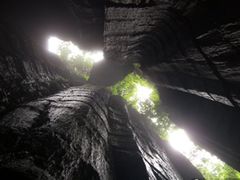 -梦幻奥陶纪景区