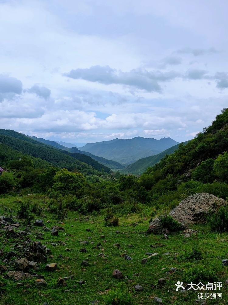 大黑峰高山草甸,快来避暑吧-大众点评