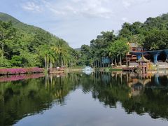-西双版纳原始森林公园
