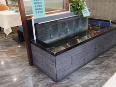 -洞庭家宴·头牌甲鱼(广渠门店)