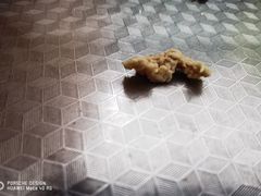 -老刘家永盛斋·传统泡馍(东关南街店)