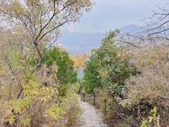 -北京十三陵国家森林公园蟒山景区