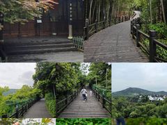 -树山生态村