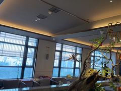 -臻品足道(佛祖岭店)