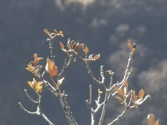 -圣莲山风景区