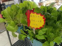 -清真军邺·金富苑肥牛(石坡街旗舰店)