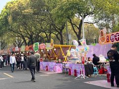 -高东镇樱花园