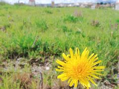景点-青海湖国家重点风景名胜区