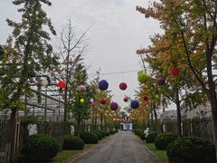 -菊园百果园