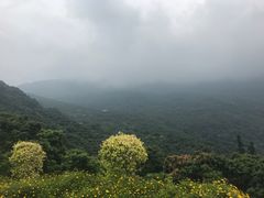 -广州市石门国家森林公园