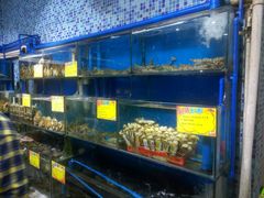 水产区-蚝专家(北滘店)