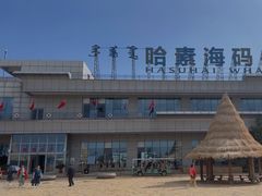 -哈素海
