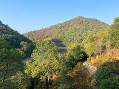 -桃花岭景区