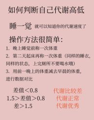 -Fundi张玉珊修身堂·indiba·BTL科技瘦身