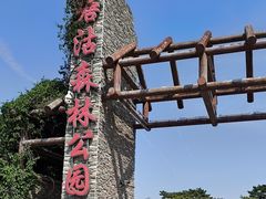 -塘沽森林公园