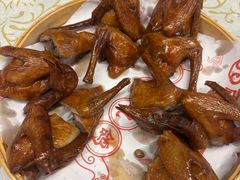 -百利鸽王(紫薇路店)