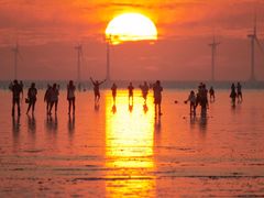 -南汇嘴观海公园