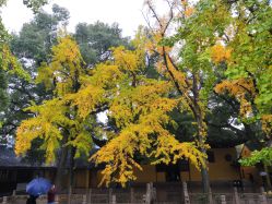 -星耀美业·品质网购