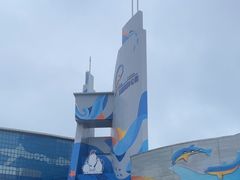-海合安青岛极地海洋公园