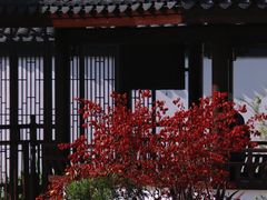 -和平公园