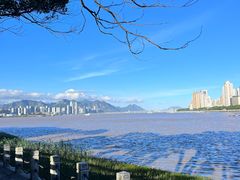 -江心屿景区