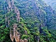 -秦岭风景区