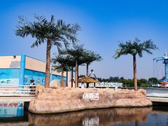 -秦皇岛乐岛海洋王国