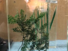 -陕西自然博物馆