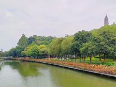 -顺峰山公园