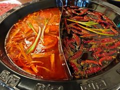 -重庆川渝肥妹火锅