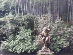 -杭州黄龙洞