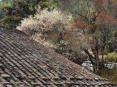 -南靖田螺坑土楼群景区