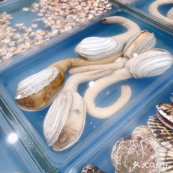 盒马鲜生(皇庭广场店)图片