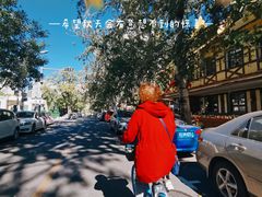 -三里屯东五街银杏大道